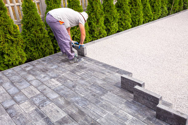 Best Local Driveway Pavers  in Dickinson, ND