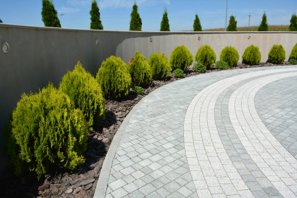 Professional Driveway Pavers in Dickinson, ND
