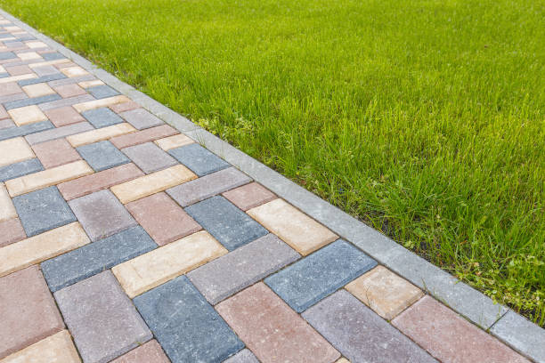Best Driveway Paving Company  in Dickinson, ND